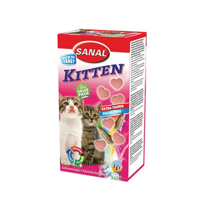 Sanal Cat Kitten