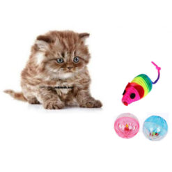 اسباب بازی گربه موش رنگی همراه دو عدد توپ صدادار