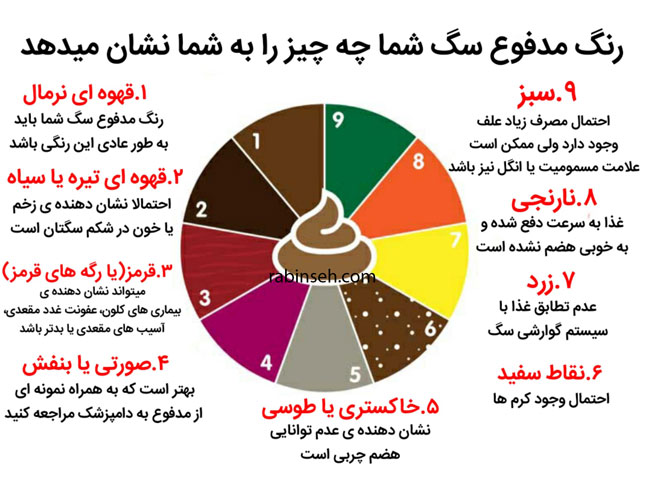 رنگ مدفوع حیوانات خانگی