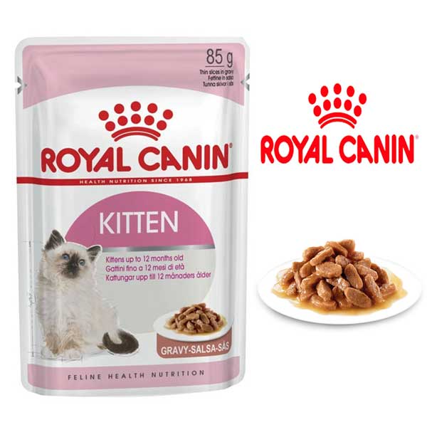 royal canin kitten gravy salsa