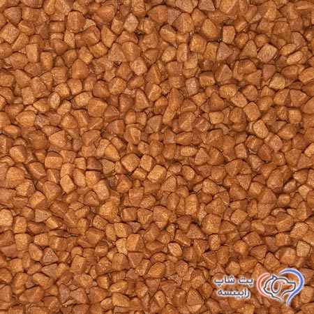 غذای-خشک-بچه-گربه-رفلکس-فله ای