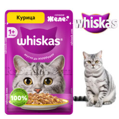پوچ گربه ویسکاس طعم مرغ در ژله ای 75 گرم (روسیه)