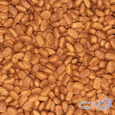 غذای-خشک-گربه-بالغ-رفلکس