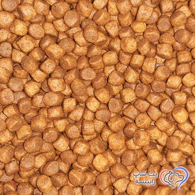 غذای-خشک-گربه-بالغ-رفلکس-پلاس-طعم-مرغ