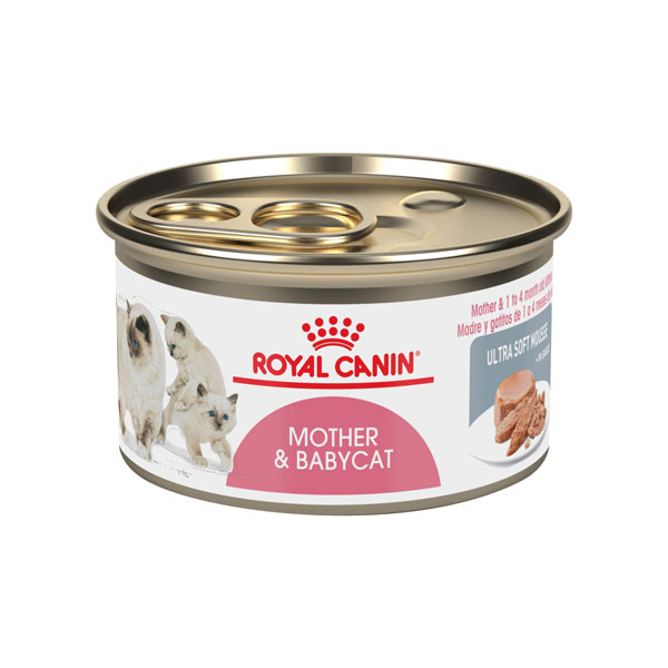 royal canin mother 