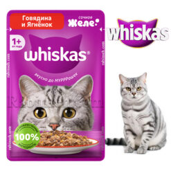 پوچ گربه ویسکاس روسیه طعم گوشت و بره در ژله 75 گرم