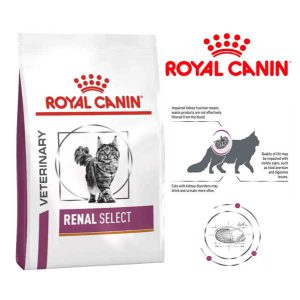 غذای خشک گربه رنال سلکت رویال کنین 2 کیلویی - اورجینال + ارسال رایگان