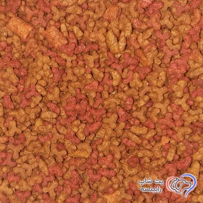 طعم-مرغ-و-ماهی
