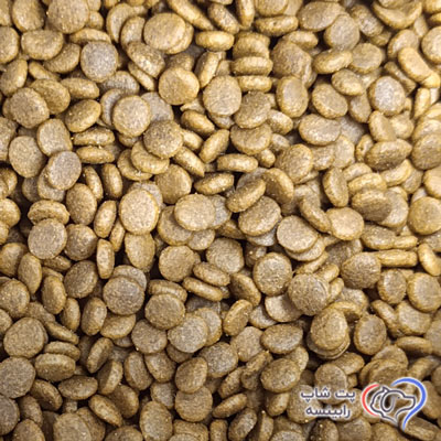 غذای خشک گربه عقیم شده رفلکس پلاس طعم سالمون فله ای - اورجینال (بسته بندی رابینسه)