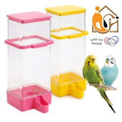 دانخوری سیلویی پرندگان جاوا