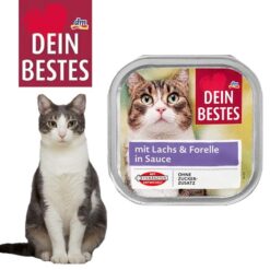 ووم گربه دین بست طعم سالمون و قزل آلا در سس 100 گرم