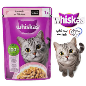 پوچ گربه بالغ ویسکاس ترکیه سالمون در گروی 85 گرم