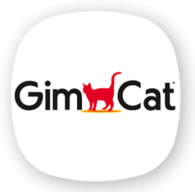 جیم کت | Gim Cat