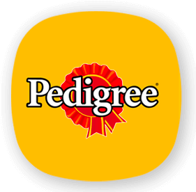 پدیگری | Pedigree