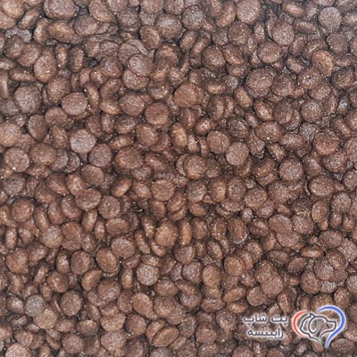 غذای خشک دیلی کت جوسرا سوپر پرمیوم فله ای (بسته بندی رابینسه)