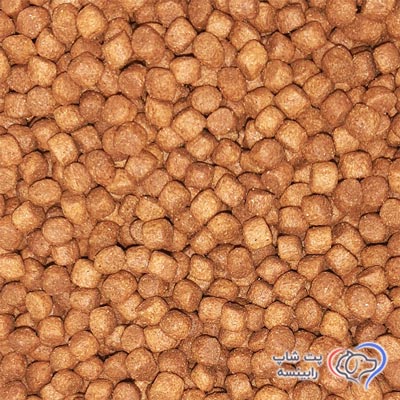 غذای خشک گربه بالغ رفلکس باطعم ماهی سالمون و انچو فله ای (بسته بندی رابینسه)