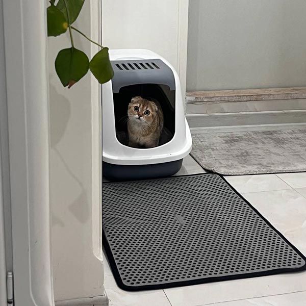 ظرف خاک درب مسقف گربه ساویک بلژیک مدل nester imperession