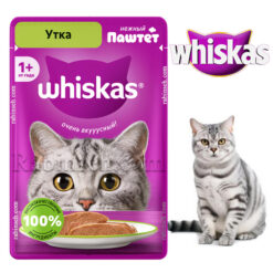 پوچ گربه بالغ ویسکاس طعم اردک پته ای 75 گرم