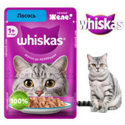 پوچ گربه ویسکاس روسیه طعم سالمون در ژله 75 گرم