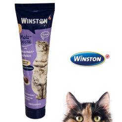 خمیر مالت گربه برند وینستون 100 گرم ( بسته بندی جدید )