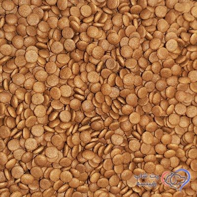 غذای-خشک-مونژه-بچه-گربه-طعم-مرغ-فله-ای-(بسته-بندی-رابینسه)
