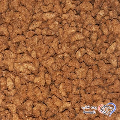 لژر-کاهش-دهنده-وزن