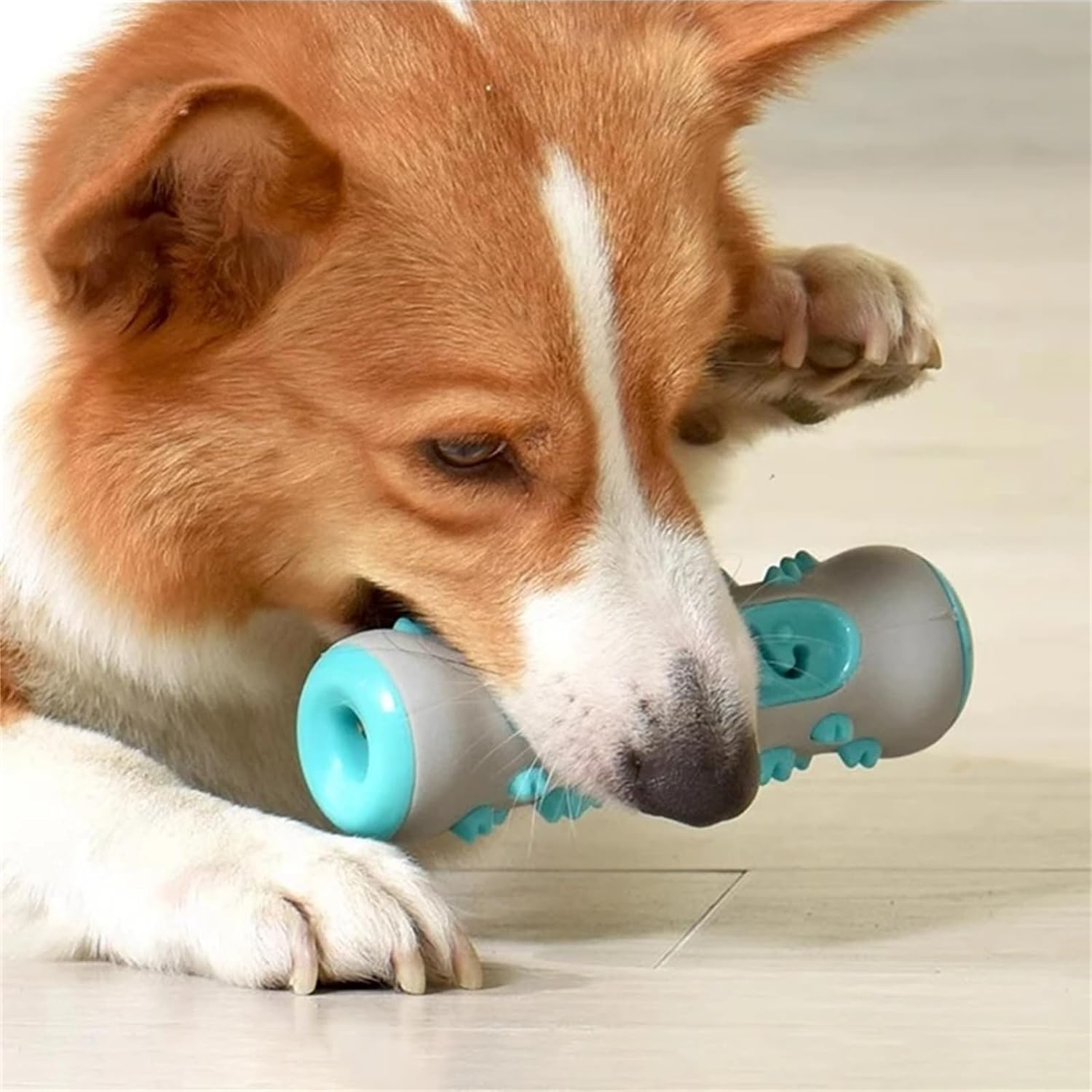 دندانی سگ با محفظه تشویقی مدل Bone Toy6