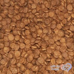 غذای-خشک-مونژه-گربه-بالغ-طعم-مرغ-و-برنج
