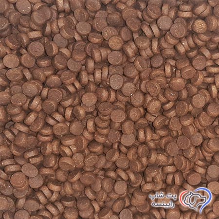گربه بالغ سانی پت