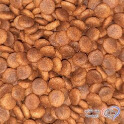 غذای-خشک-سگ-رفلکس-پلاس-نژاد-متوسط-​​و-بزرگ
