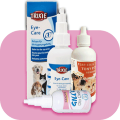 مراقبت از چشم و گوش سگ