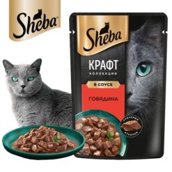 پوچ گربه شبا طعم گوشت گوساله در سس 75 گرم – روسیه