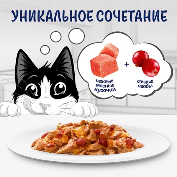 پوچ گربه فلیکس پورینا طعم مرغ و بری در ژله 75 گرم - روسیه
