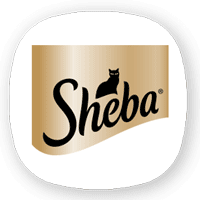 شبا | Sheba