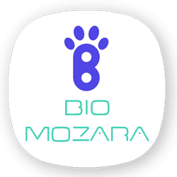 بیو موزارا | Bio mozara