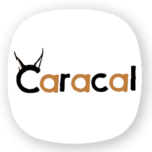 کاراکال | Caracal