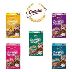 پک پنج عددی تشویقی گربه گناولز پروبیوتیک مغزدار (طعم بندی مختلف)