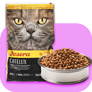 غذا خشک فله ای