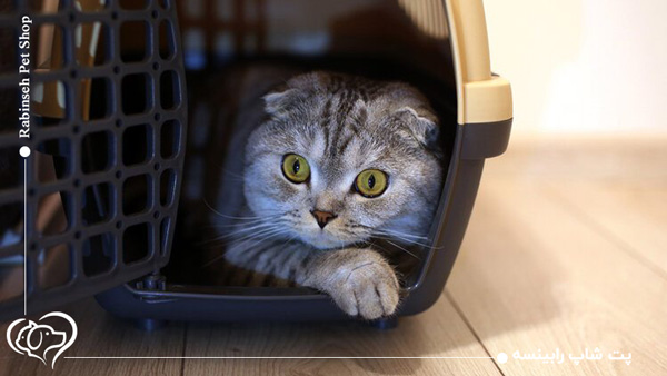 خرید باکس سگ و گربه