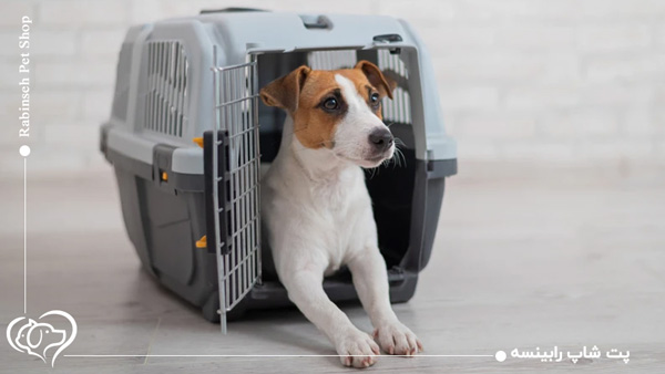 خرید باکس سگ و گربه