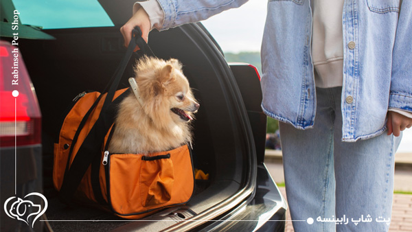 خرید باکس سگ و گربه