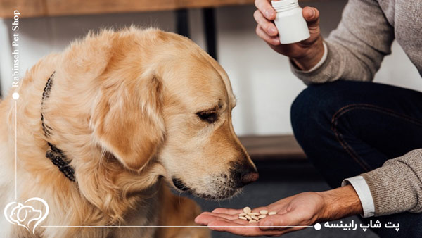 ویتامین دی برای حیوانات