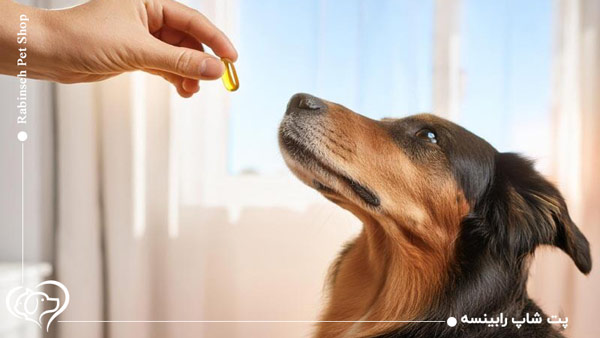 ویتامین D برای سگ و گربه