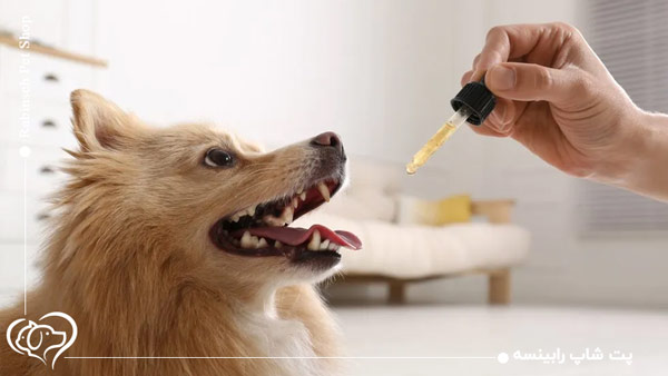 ویتامین D سگ و گربه