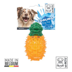 اسباب بازی خنک کننده سگ ام پتز بلژیک مدل آناناس