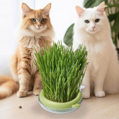 ظرف علف گربه و بذر علف گربه طرح ماهی