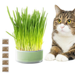 ظرف علف گربه و بذر علف گربه مدل دایان