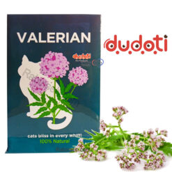 بذر علف گربه دودوتی مدل گل والرین 10 گرمی