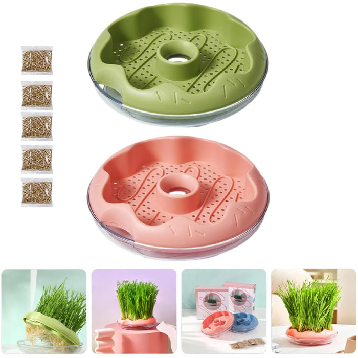 ظرف علف گربه و بذر علف گربه طرح گل