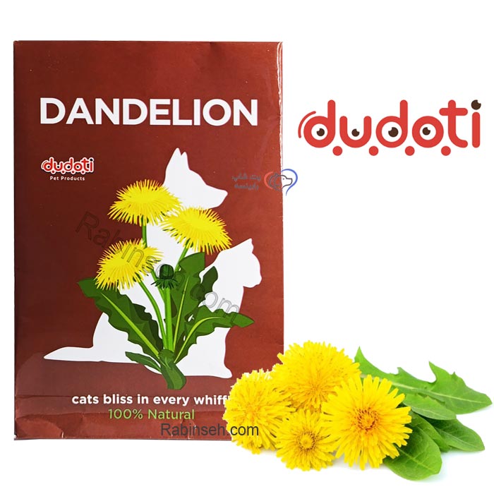 بذر علف گربه دودوتی مدل گل دندلیون 10 گرمی